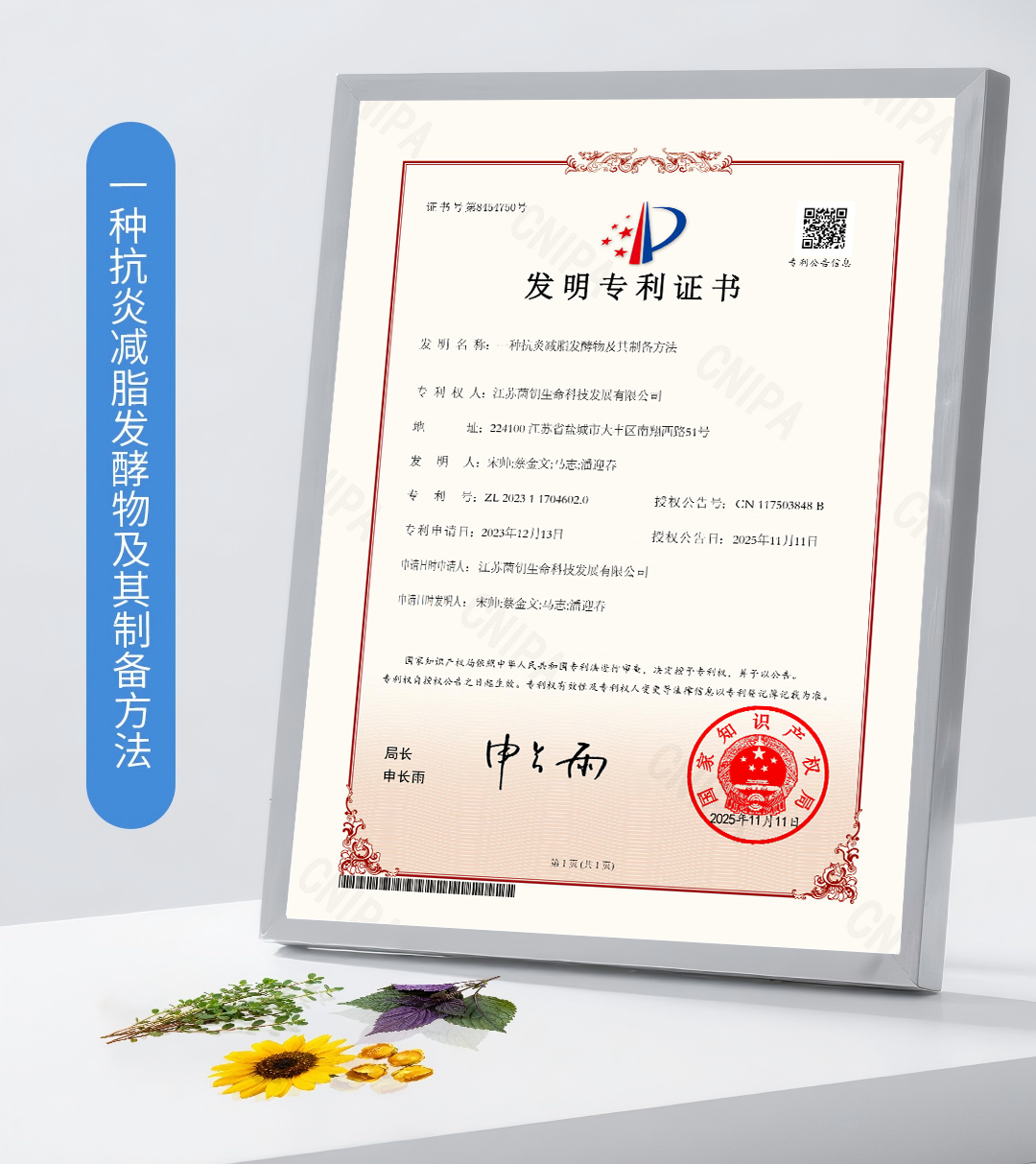 抗炎减脂专利.png